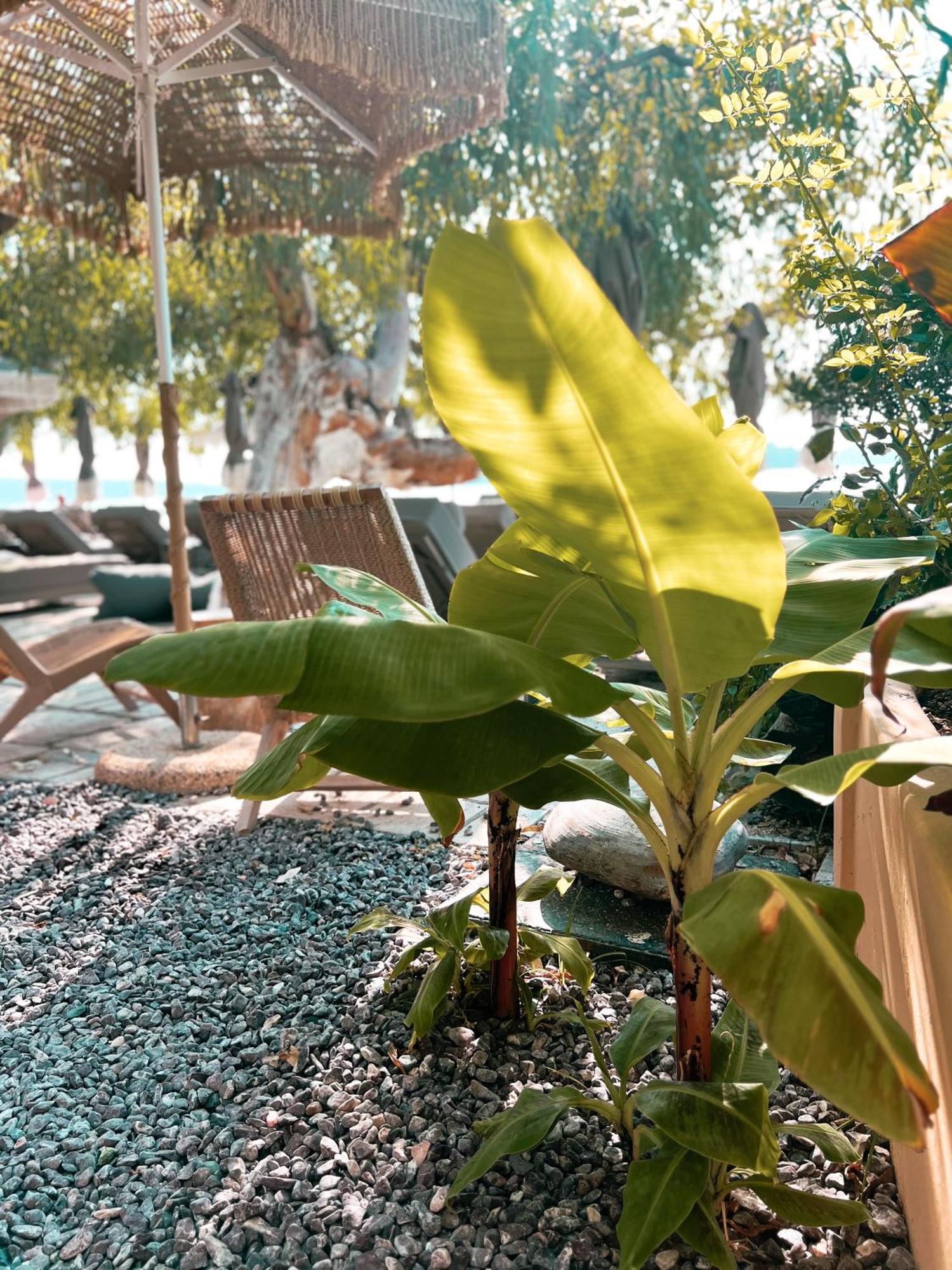 Eva Beach Hotel Lefkada Nydri  Exterior foto