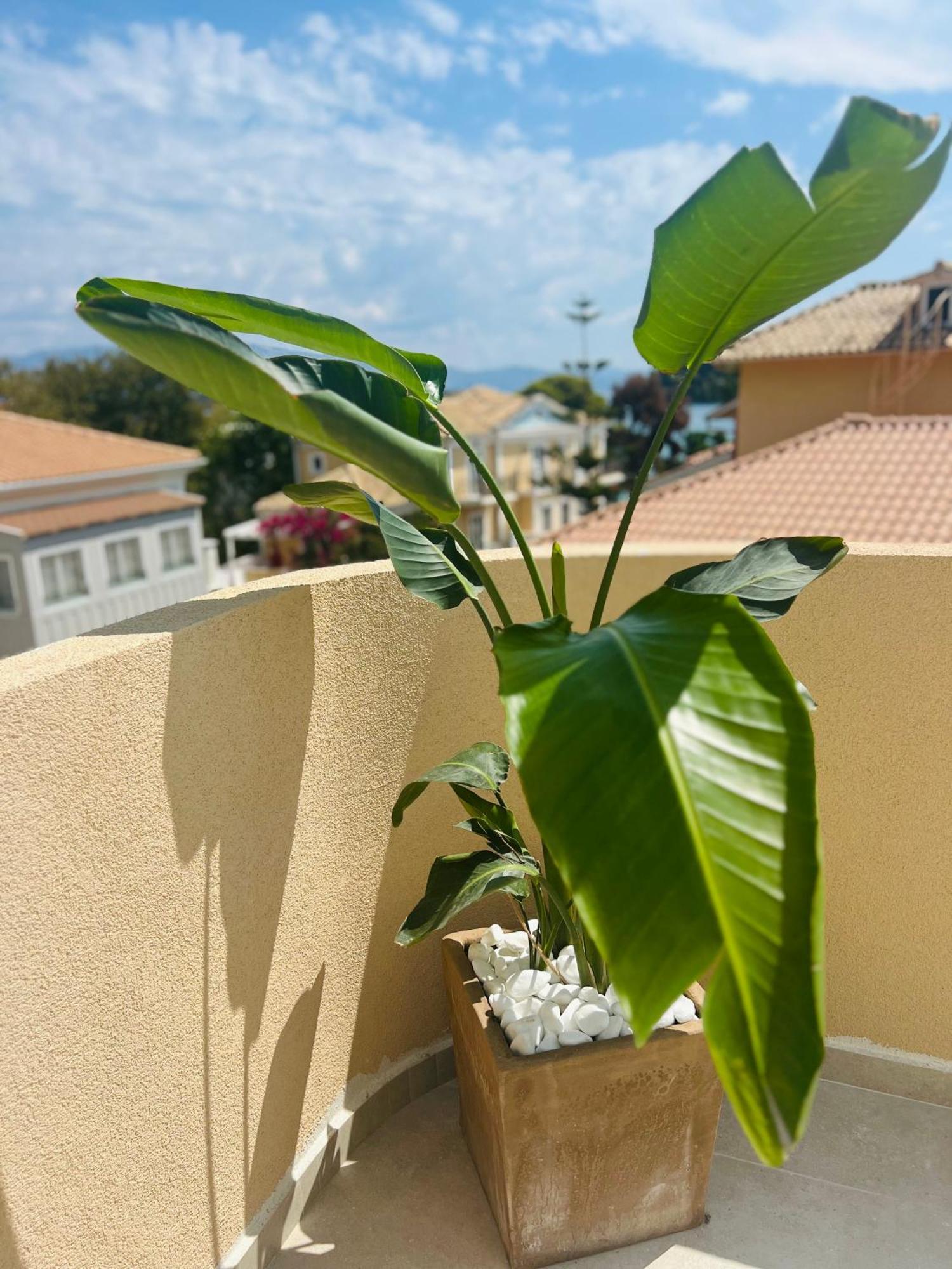 Eva Beach Hotel Lefkada Nydri  Exterior foto